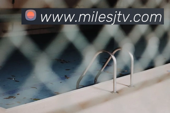 App Interface Preview